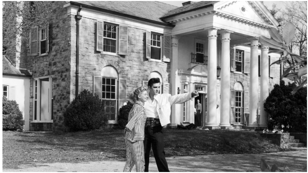 Immagine 2025-01-21 141732.png (247 KB)